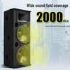 KAXISAIER Professional Passive Full-Range Speaker CN Plug (adapter Included)