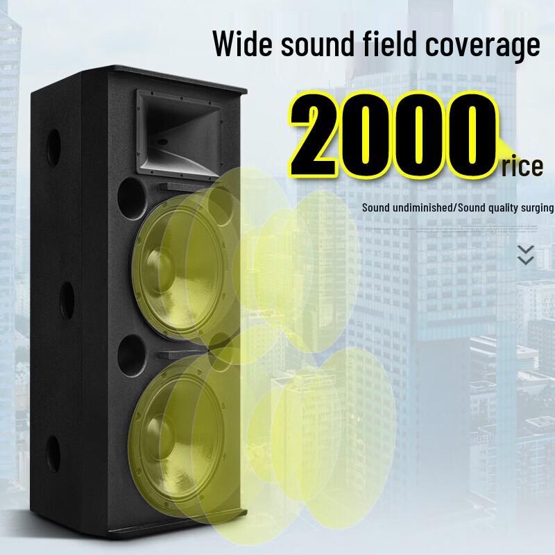 KAXISAIER Professional Passive Full-Range Speaker CN Plug (adapter Included)