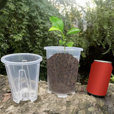 Transparent Orchid Pot Plant Pot with Drainage Holes Phalaenopsis Flower Pot with Air Column Prevent Root Rot for Small Houseplants Seedlings