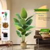 Luxurious Indoor Bionic Bird of Paradise Faux Plant