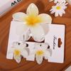 One Large and Two Small, Gradient Color Flower Hair Clip, Summer Fashion Casual Style Hair Accessory Perfect for Outings