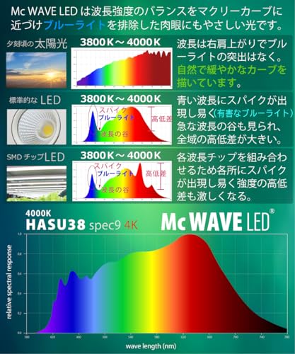 HaruDesign HASU38 spec9 4K Plant Grow Light with Black Swirl Body, Warm White (4000K), McWave LED, Wide-Angle Reflector, Full Spectrum, Flicker-Free,