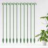 Garden Flower Support Single Stem Leaf Protection Frame Multipurpose Metal