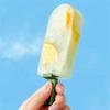 Ice Cream Mold With Cover Lovely Homemade Popsicle Tray DIY Ice Creams Ice-Lolly Maker Tools Summer Kitchen Tools