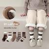 2025 Winter Korean Style Thickened Terry Mid-Calf Children's Socks - Pack of 5