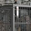 Extra Large Outdoor Chicken Cage with Egg Tray and Secure Enclosure