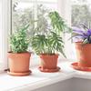 Flower Pots 6 Pcs Terracotta Red Ø 12.5 X 10 Cm Plastic
