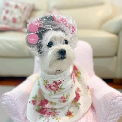 1pc-Cute Cat Clothing - Cute Curly Hat for Small Pets, Pet Accessories Cat Wig
