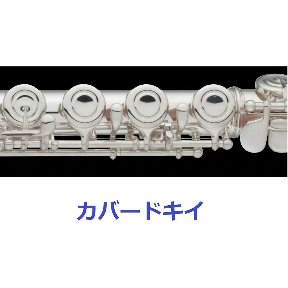 YAMAHA YFL-212U Standard Flute Silver Finish with Case and Cleaning Kit Musical Instrument