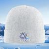 Anime characters Rail Star Honkai Unisex Women Unisex Knitted Hat Beanie Pullover Cap Winter Thermal Warm Christmas Outdoor Cycling