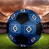 SIZE 5 Hamburger SV Soccer Ball Colorful All Ages Machine Stitched PVC Competition Ready Durable High-Bounce