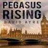 Pegasus Rising by David Ayre Paperback Book 9781800742024