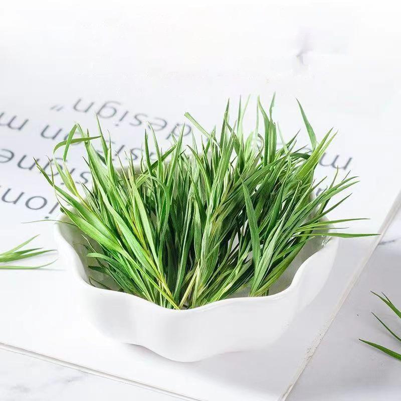 Natural Dianthus caryophyllusTea Mangosteen Leaf Small Bamboo Leaf Herbal Tea