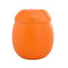 Ceramic Ashes Storage Box 200ml Dog Cat Cremation Urns Funeral Urn for Pets  Desktop Decoration