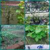 Protective Dutch Wire Mesh Enclosure for Household Breeding - Ideal for Chickens, Ducks, Rat-Proofing, and Window Safety