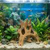Tree Trunk Fish Shrimp Hiding Cave 3D Printed Driftwood Landscape  Hermit Crabs Habitat