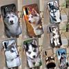 Animal Husky Puppy Case For Huawei Nova 11i 8i 7i 3i Y70 Y90 Y60 Y61 5T 9 10 SE P Smart Z P30 P40 Lite P60 Pro