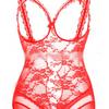 European & American Lace Open Crotch See-through Sexy Lingerie Bodysuit
