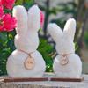 Cute Polyester Plush Bunny Ornament Set (23cm/19cm Sizes) - Ideal Easter Holiday Gift