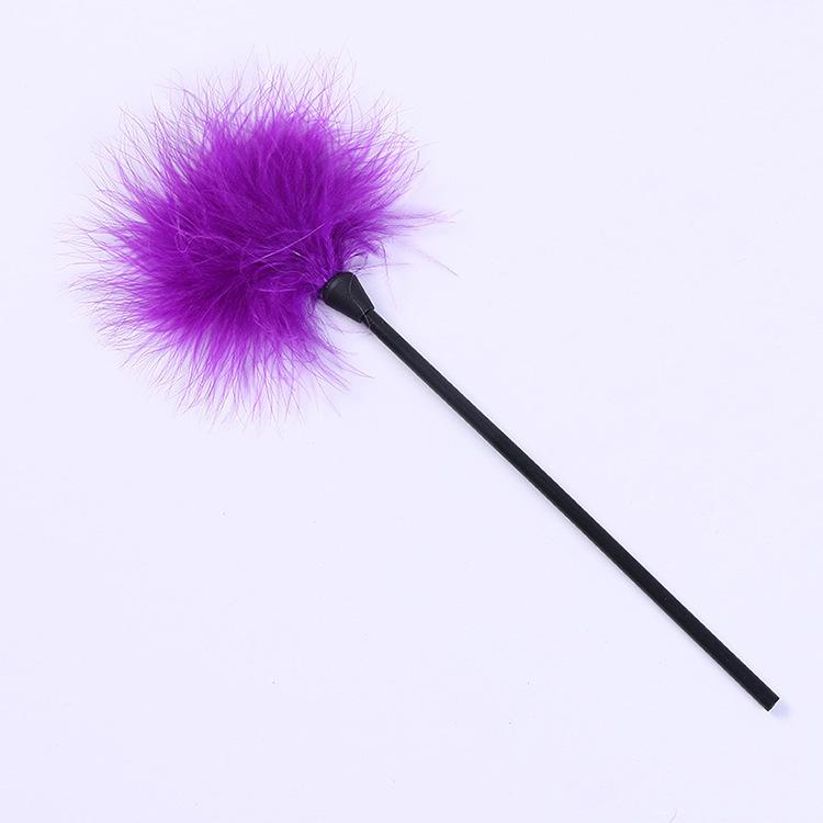 Erotic Feather Teaser Stick - Adult Flirting and Foreplay Aid, Alternative SM Toy Set