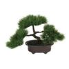 Tokyodo Bonsai Pine Mini Pot 1 Piece W30×H20cm W16×H5×D13.5cm FZ009204-zzz