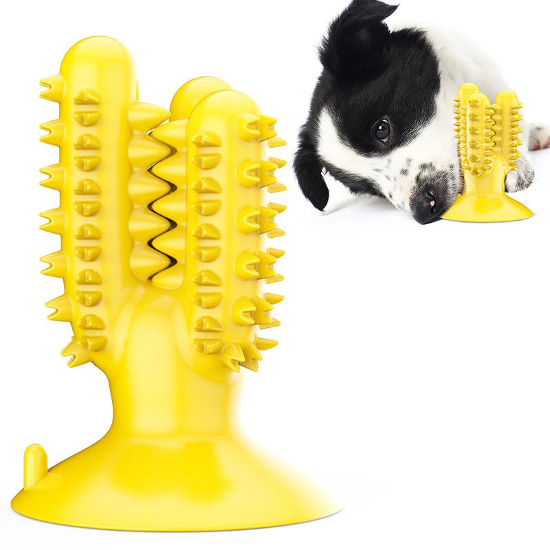 

Pet supplies factory wholesale company new explosions cactus toothbrush grinding stick dog toy ball
