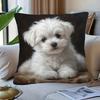 1Pc Cute Maltese Puppy Printed Throw Pillow Cover, Suitable For Sofa, Bedroom, Living Room, A Heartwarming Gift For Dog Lovers.