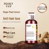 Zhuolanya Anti-Hair Loss Hair Growth Shampoo