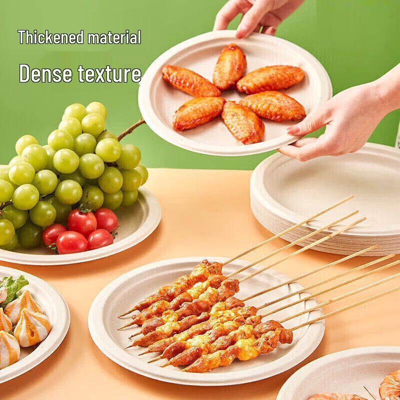Disposable Sugarcane Pulp Paper Plates
