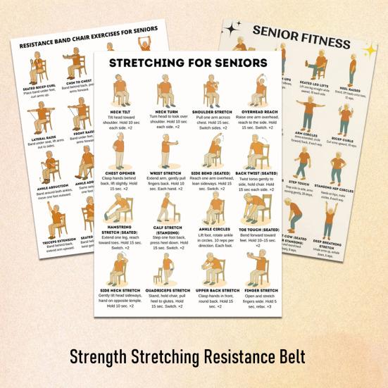 3Pcs Tai Chi Workout Posters Seated Exercise Chart with 16 Gentle Chair Yoga Movements Tai Chi Instructions for Beginners Seniors