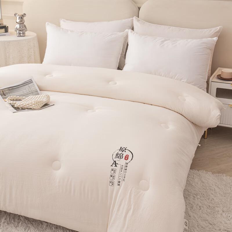 Plover Undyed Cotton Soybean Fiber Winter Quilt