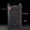 Malata High-Power Portable Outdoor Bluetooth Karaoke Speaker (CN Version)
