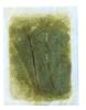 Foot Relax Sheet Mugwort Single 30 Sheets (x 1)