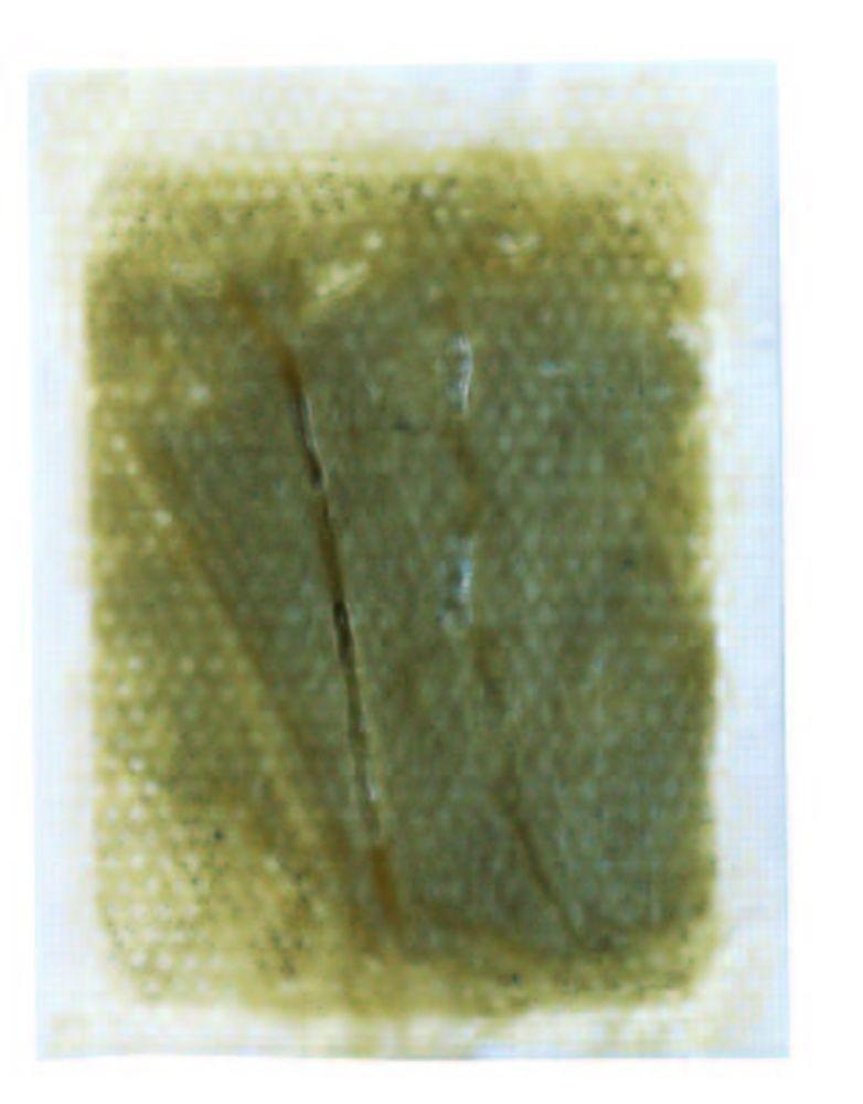 Foot Relax Sheet Mugwort Single 30 Sheets (x 1)