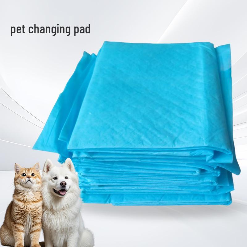 Transparent Cat and Dog Backpack - Large Space Pet Outing Bag