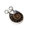 Ammonite Fossil Pendant Real Gemstone Pendant 925 Sterling Silver Pendant Ammonite Fossil Silver Jewelry Handmade Pendant Gift For Friend