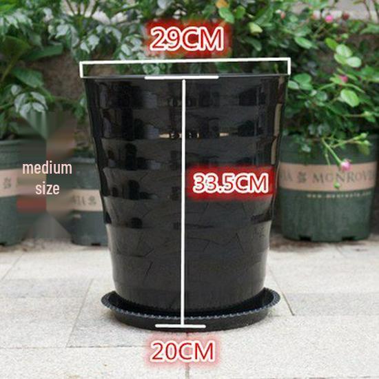 Extra großer weißer gerippter Harz-Blumentopf mit Untersetzer für Geldbaum.