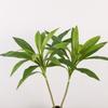 Plastic Artificial Cycas Plants Large Fake Plants Brazilian Beauty Tequila  Wedding Decor
