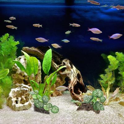 Lebensechte Simulation Reptil Pflanze Regenwald Lebensraum Dekoration für Terrarium Reptilienbecken Kasten Aquarium Landschaftsgestaltung Fake
