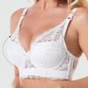 Plus Size Sexy Lace Underwire Push Up Bra Women S Lingerie