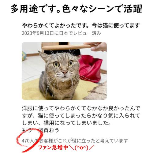 Basic Standard [.co.jp Exclusive] Anti-Static Wooden Clothes Brush with Natural Horsehair Bristles, 30cm, with String (For Removing Pollen and Dust fr