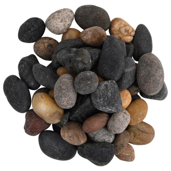 Galet - vidaXL - Galets polis - 5-8 cm - Couleur mixte - 25 kg