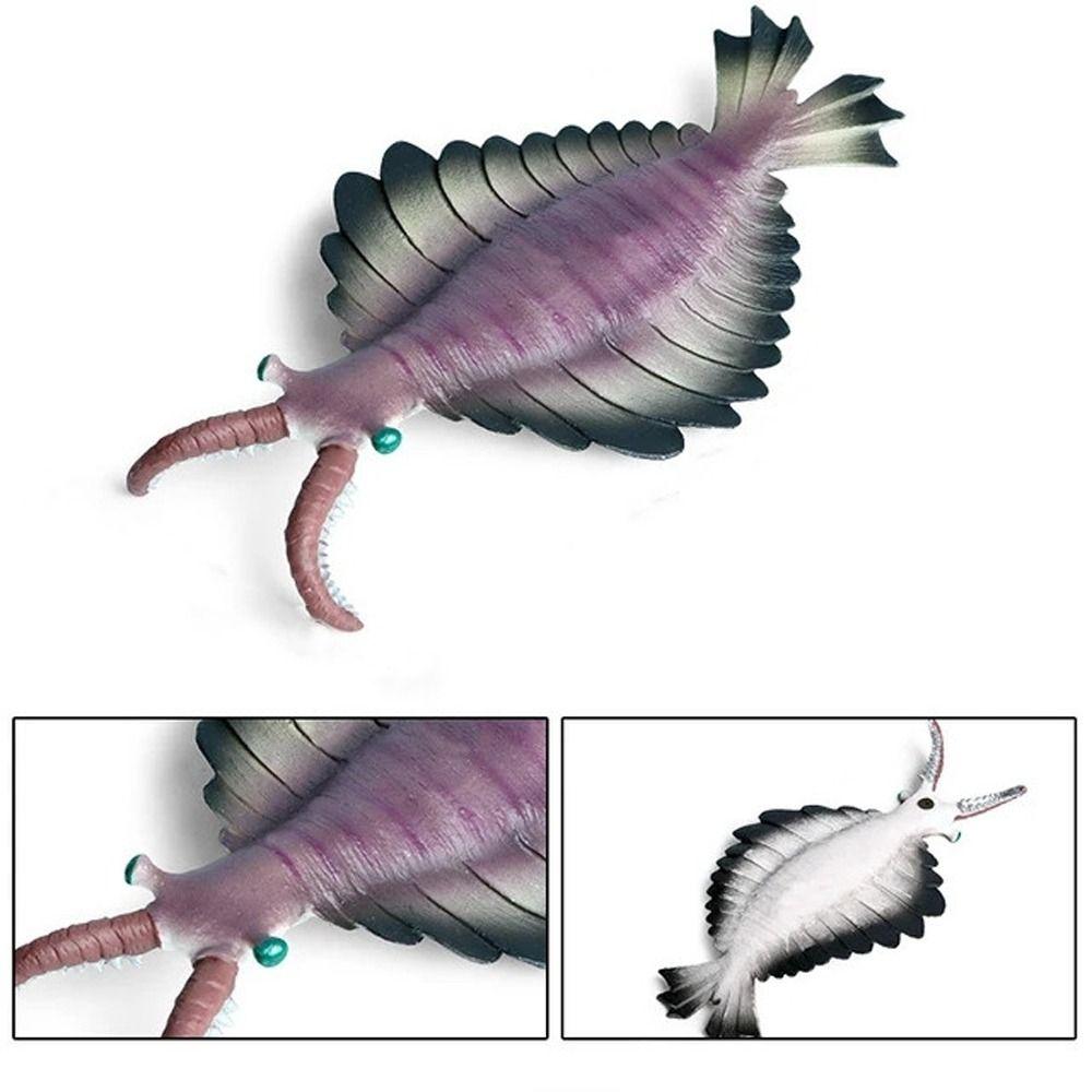 Simulation Ozeantier Figur Nautilus Trilobit Figur Meeresleben Figuren Kinderspielzeug