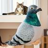 Katzen – Katzenspielzeug