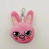 SKZOO Stray KIDS Plush Toys Fans Plush Cartoon Stuffed Animal Plushies Doll Kawaii Companion for Kids Adults Fans Gift
