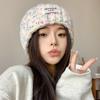 Autumn and Winter Knitted Hat Women's Hat New Versatile Wool Hat Warm Ear Protection Windproof Cold Hat Winter