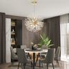 Modern Crystal Dandelion Chandelier Lighting Pendant Lamp For Living Dining Room Children's Room Home Decor Pendant Lights