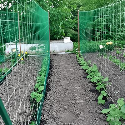 Zatravnění a úprava terénu – Podpora rastlín
