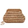Woven Bag Women's 2025 New Fashion Versatile Clutch Bag High Value Hollow Contrasting Color Shoulder Bag Chain Messenger Bag