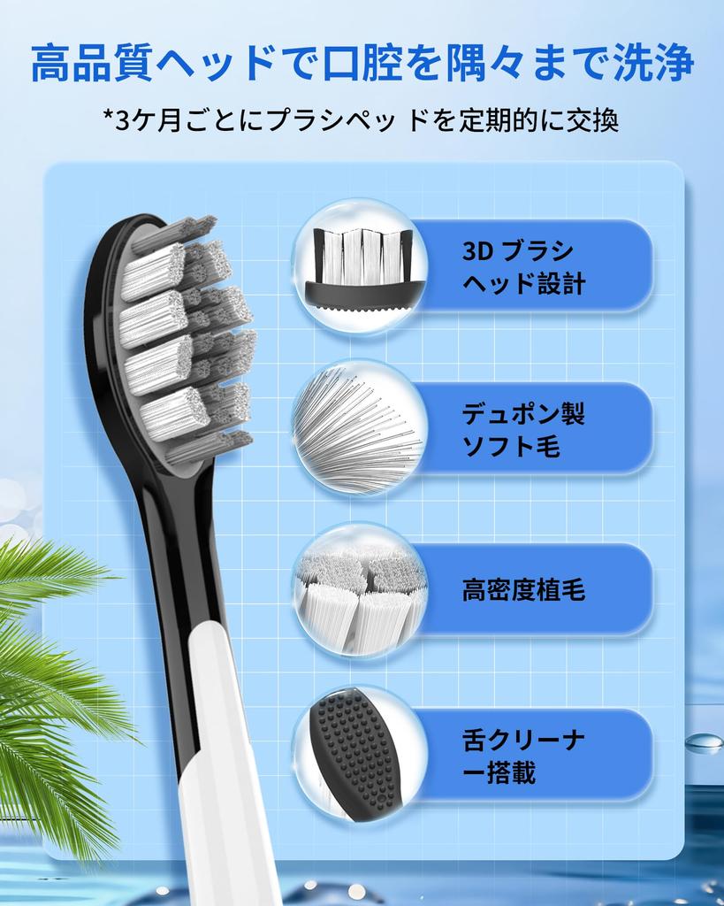 SOGUE Electric Sonic 180 Days of Wireless 5 Black Toothbrush, Vibration, Approx. Use, Charging, Modes,